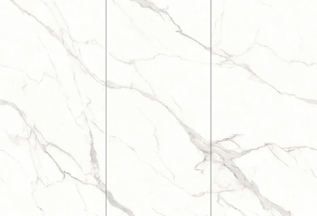 【新品】奢華定制，1600x3200mm成就大宅風(fēng)范！(圖24)